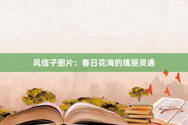 风信子图片：春日花海的瑰丽灵通