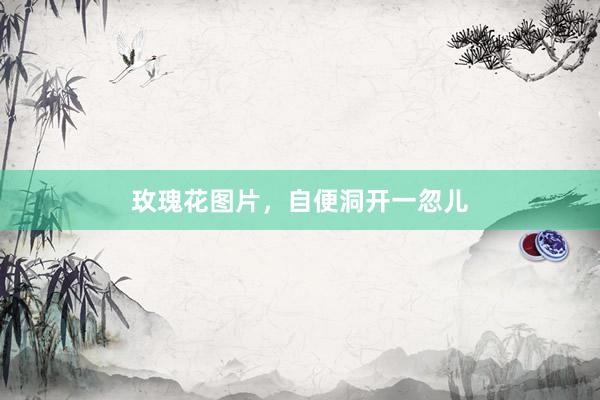 玫瑰花图片，自便洞开一忽儿