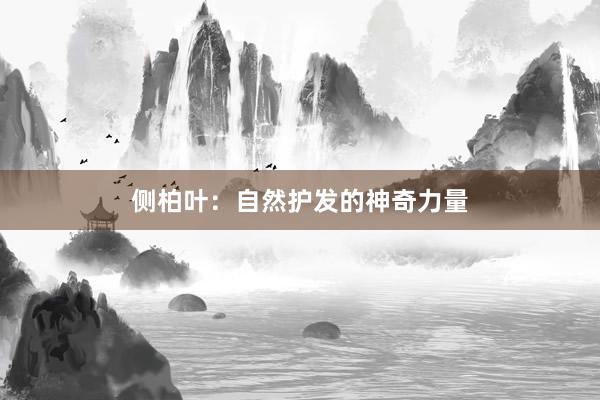 侧柏叶：自然护发的神奇力量