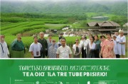 茶油树补贴申请全攻略，从政策解读到实操指南