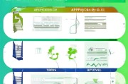 申请表补贴全攻略，从填写到获批的实用指南