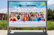 补贴申请公示，透明管理的基石与民生保障的阳光桥