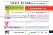 株洲社保补贴申请全攻略，条件、流程、材料详解